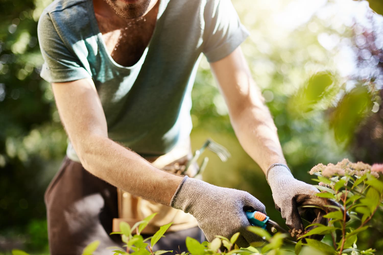 guide-jardinage