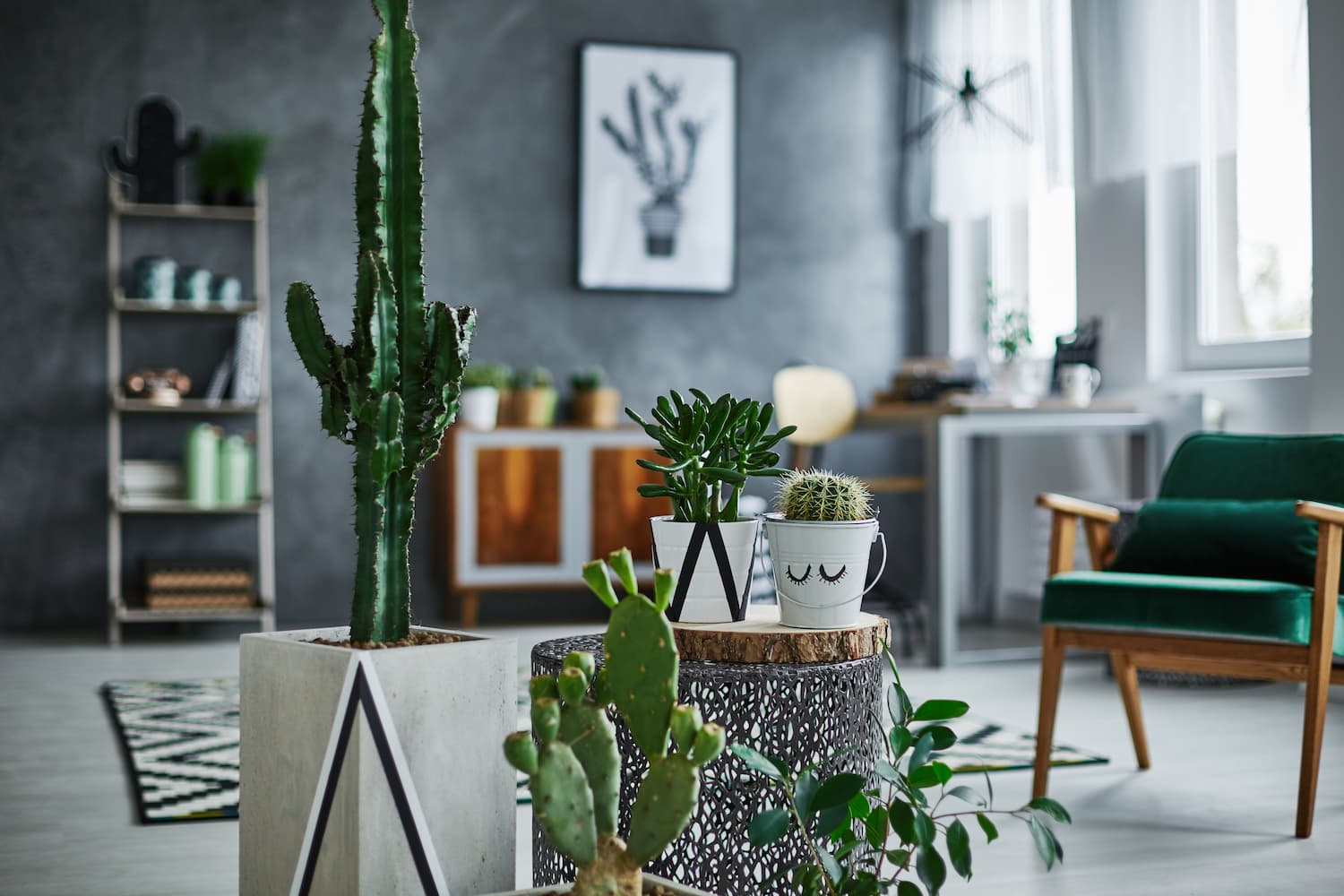 cactus artificiel