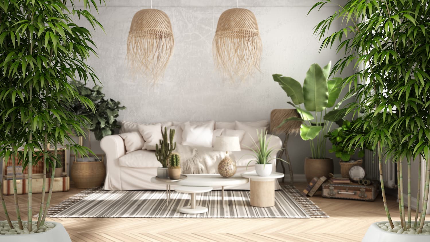 basiques feng shui