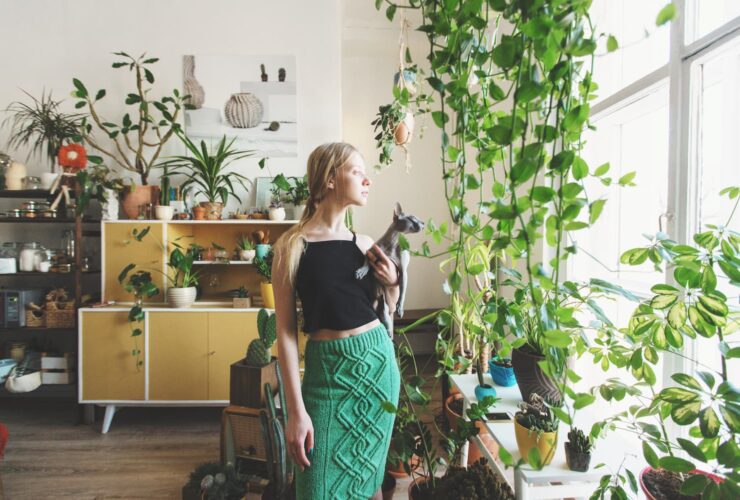 feng shui