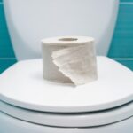 wc bouchés