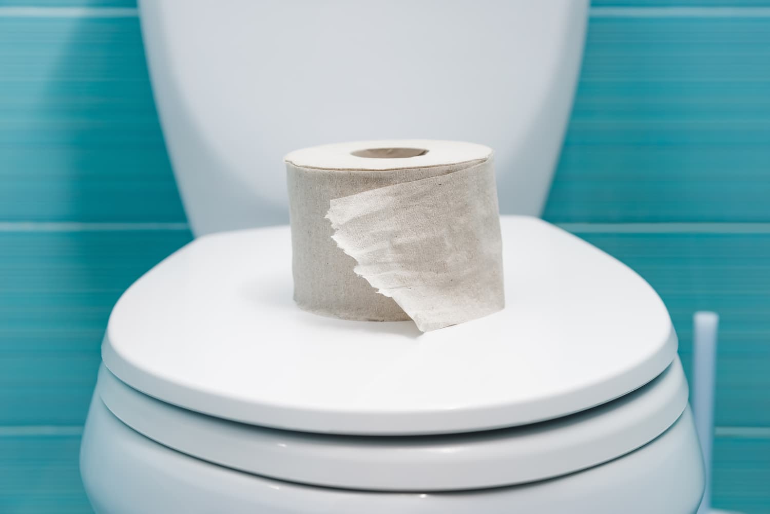 wc bouchés